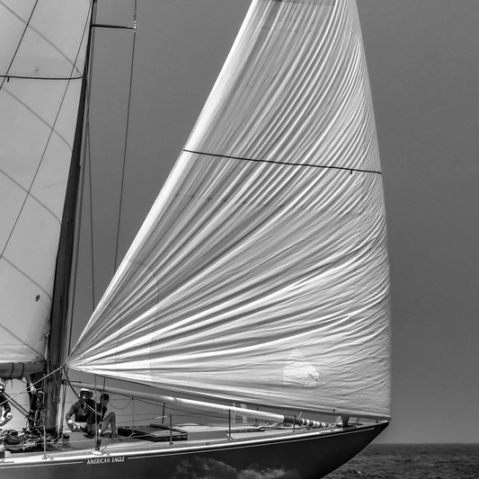 American Eagle - Opera House Cup