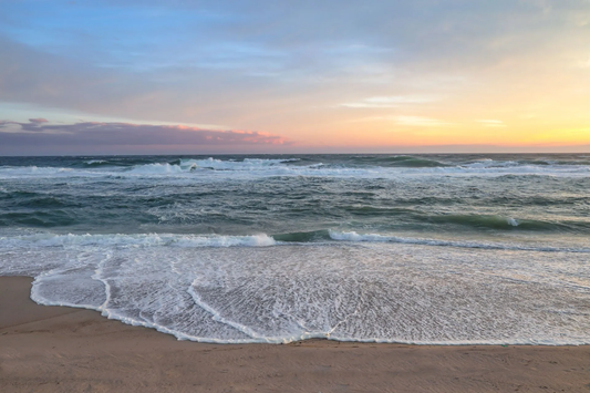 Cisco Wave