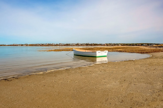 Summertime at Monomoy Creeks