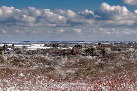 Sconset Snow
