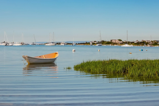 Monomoy Creeks