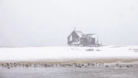 Winter Hither Creek
